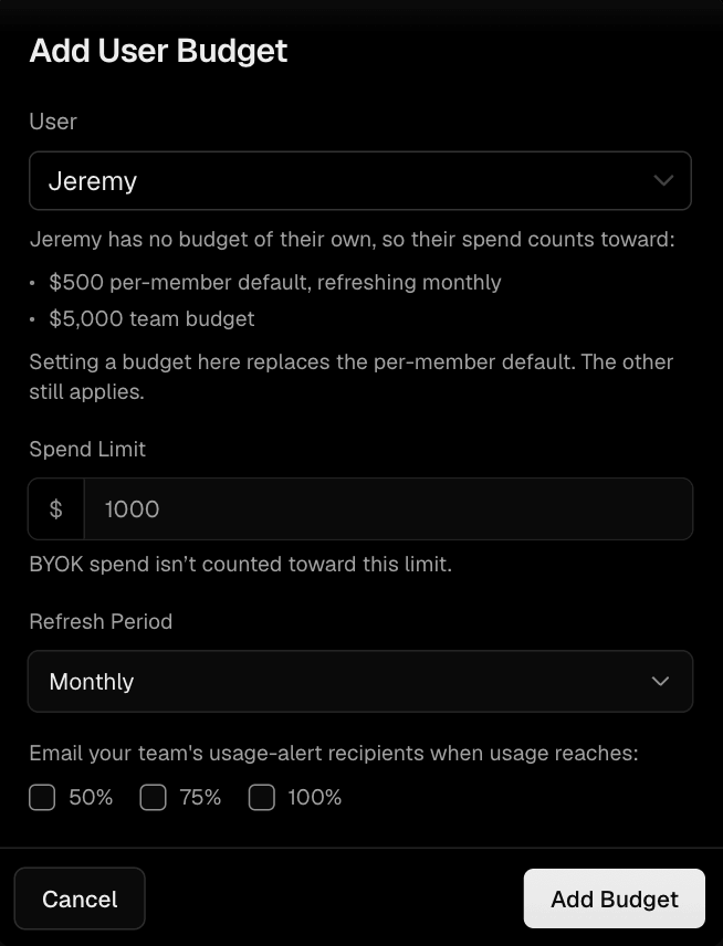 Set a custom user budget. It replaces the default user budget for that member, while the team budget still applies.