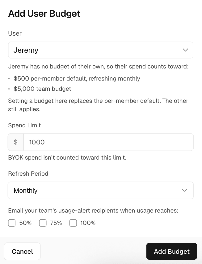Set a custom user budget. It replaces the default user budget for that member, while the team budget still applies.